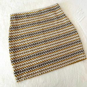 Express Bodycon Skirt